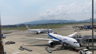 飛行機を見に、伊丹空港へ